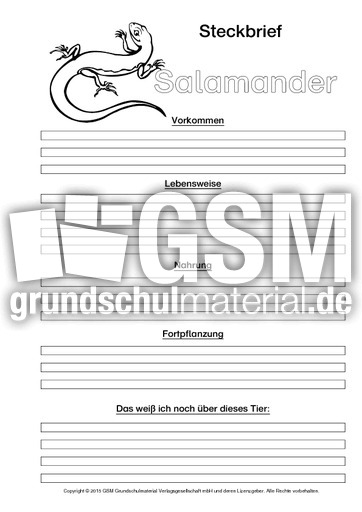Salamander-Steckbriefvorlage-sw-2.pdf
